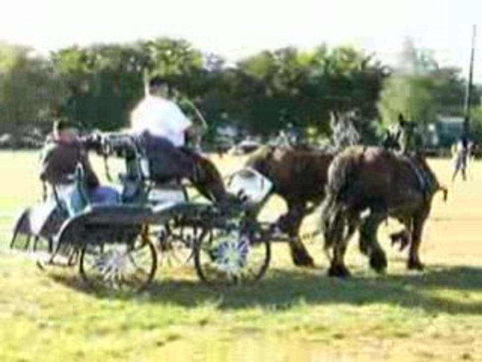 Fête du bois à Locquignol (Nord)