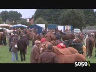 la foire de Lessay édition 2008