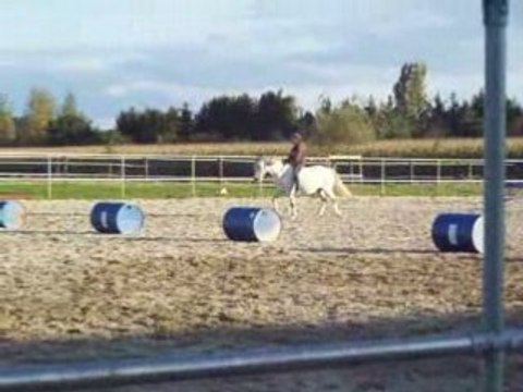 Fête du cheval marckolsheim poney stress