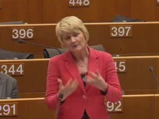 Marian Harkin on Citizens' petitions