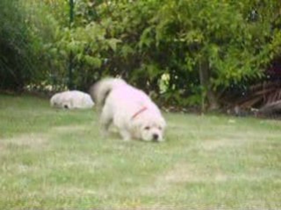 Plus vite que la musique!