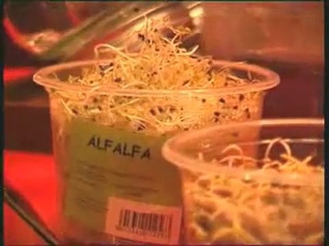 Graines germées - mode d'emploi