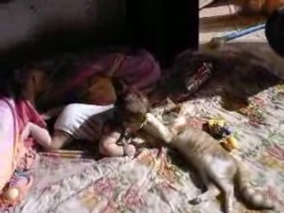 Evann et kangou son chat d'amour !!!