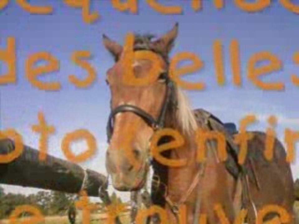 Dimanche 21-09-08
