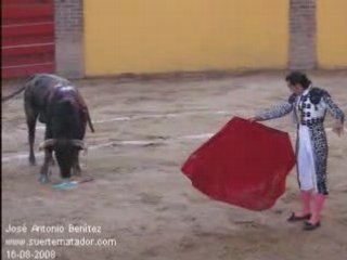 Resumen de la 4a Novillada en Arroyo 16-Agosto-2008