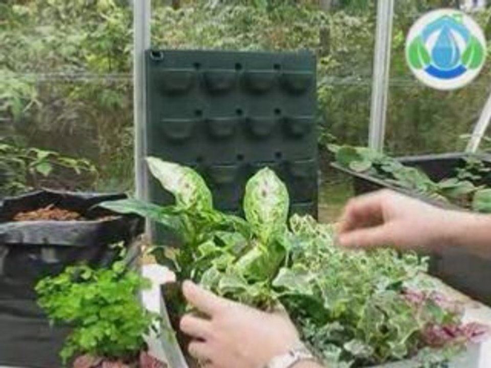 Présentation du mur végétal FLOWALL