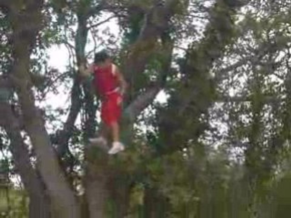 Tarzan 4