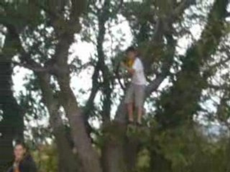 Tarzan 5