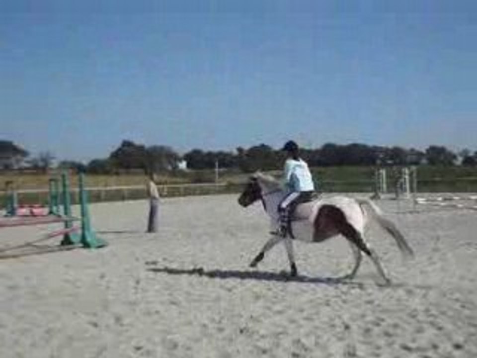Concour Inter club - 2008