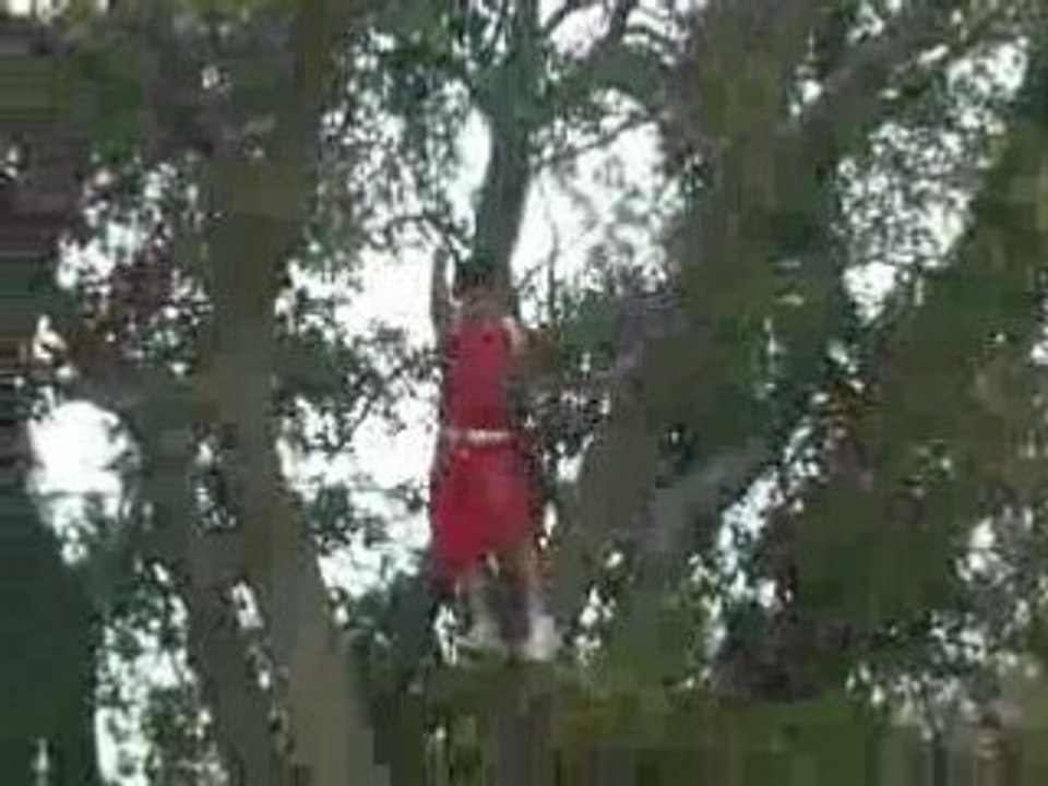Tarzan 7