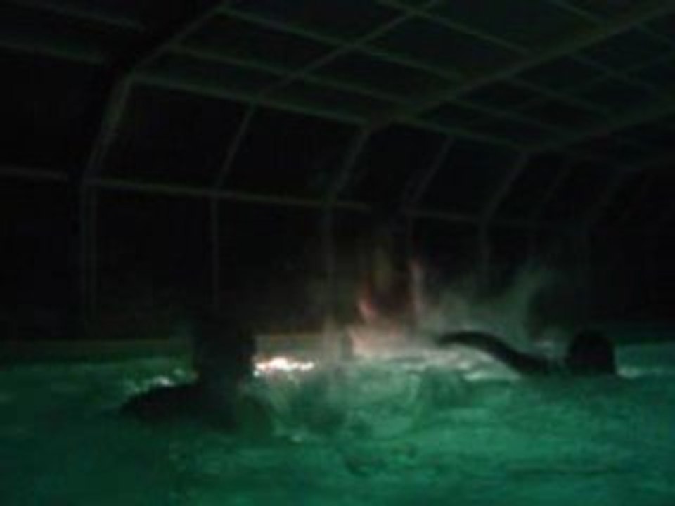 Ete pisine