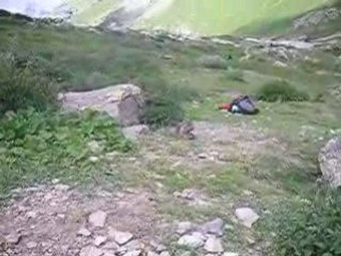 marmotte à Orcières (Prapic)