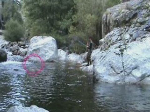 La peche à la truite fario