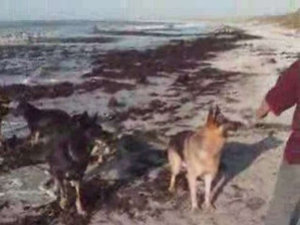 Jeux à la plage