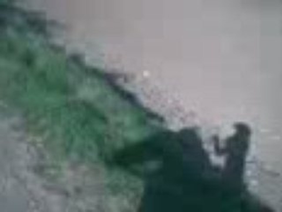 Vidéo003