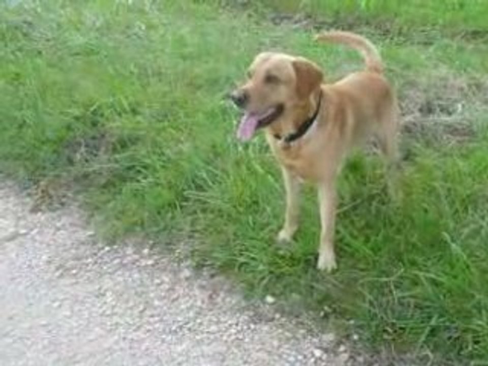 LOGAN ET ANIA EN BALLADE