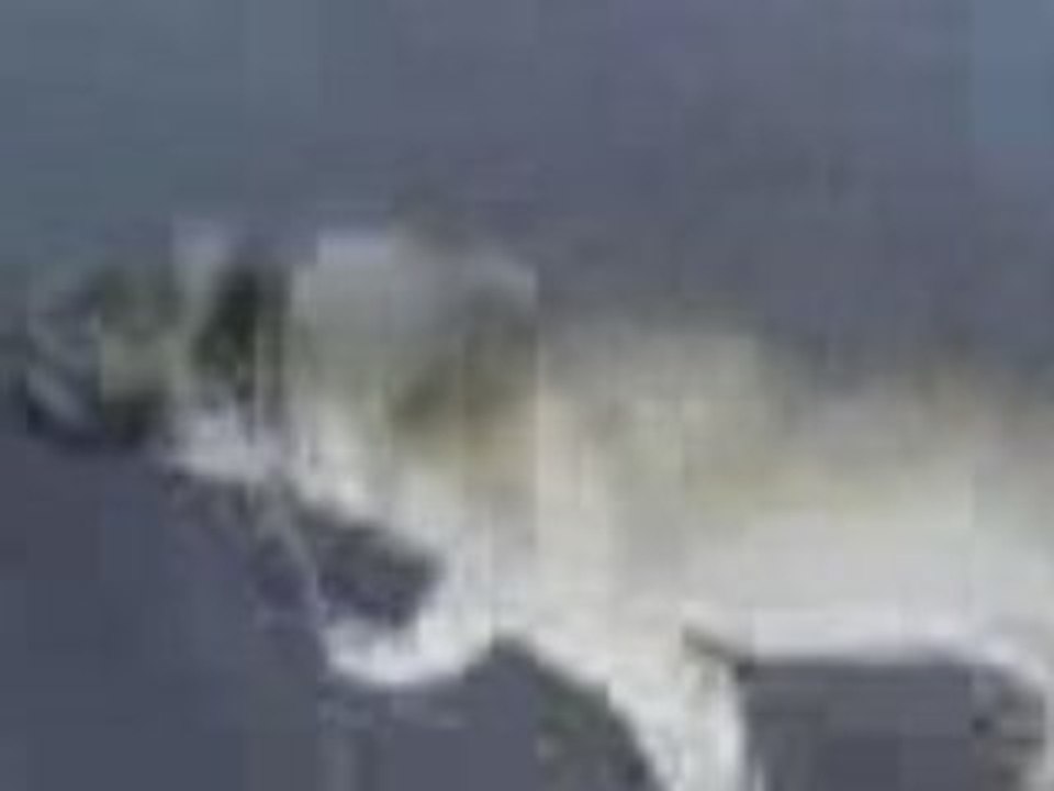 Carlor2
