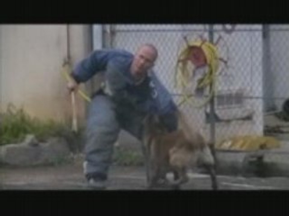 Vidéo entrainement mordant