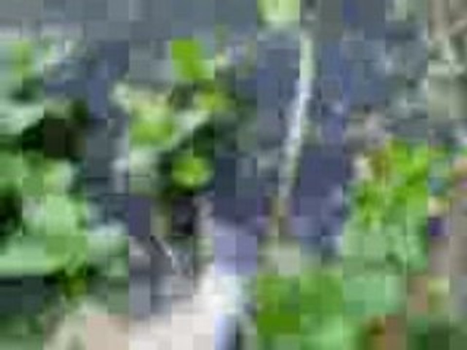 14052008118