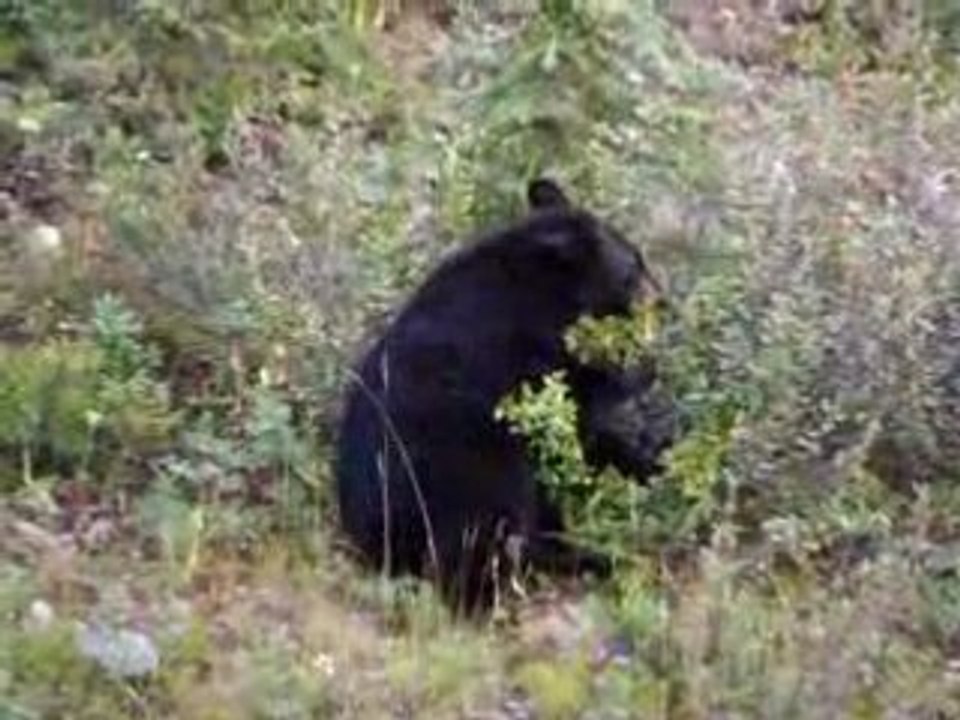 ours canada