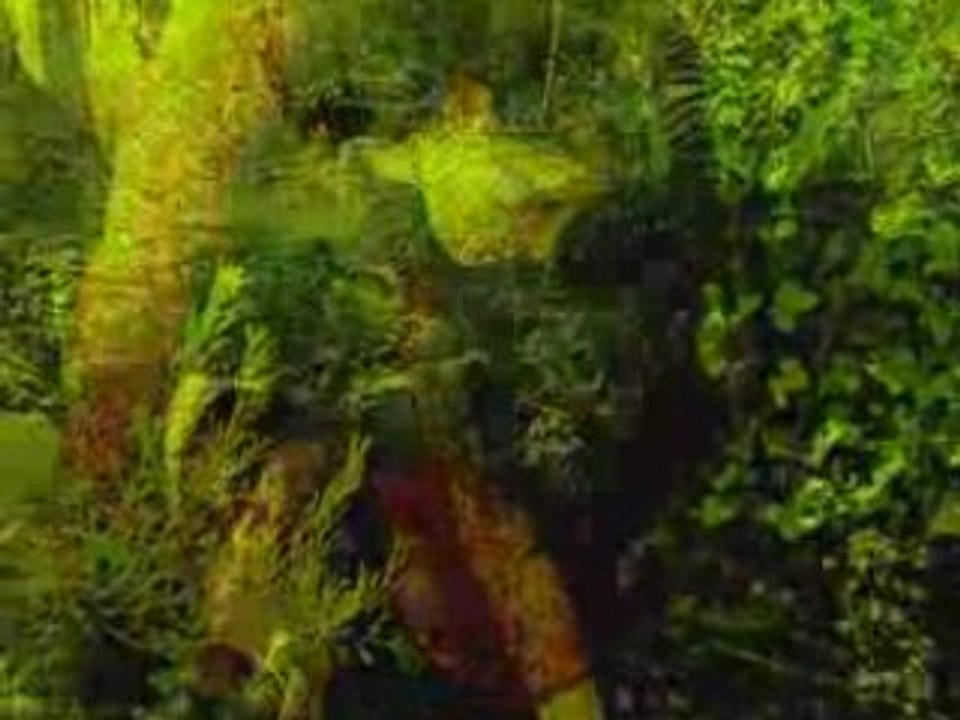 GOTHIC VIDEO - NEW RISEN