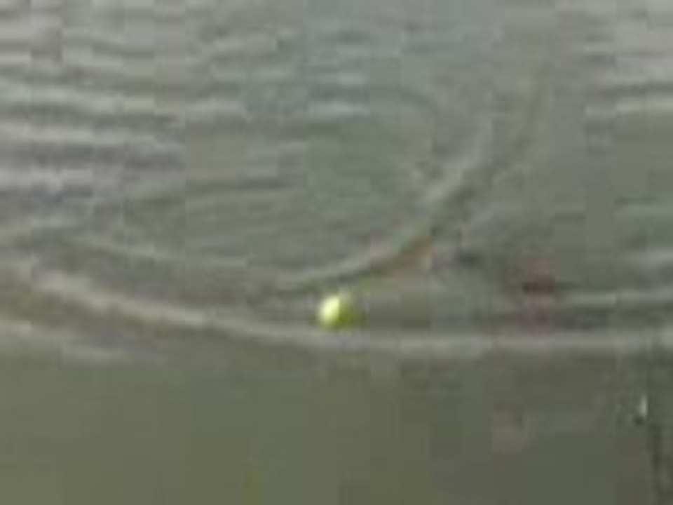 BROCHET REMI