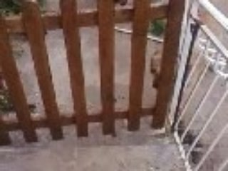 comment ouvrir une barrière