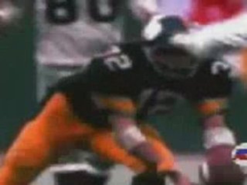 Immaculate Reception