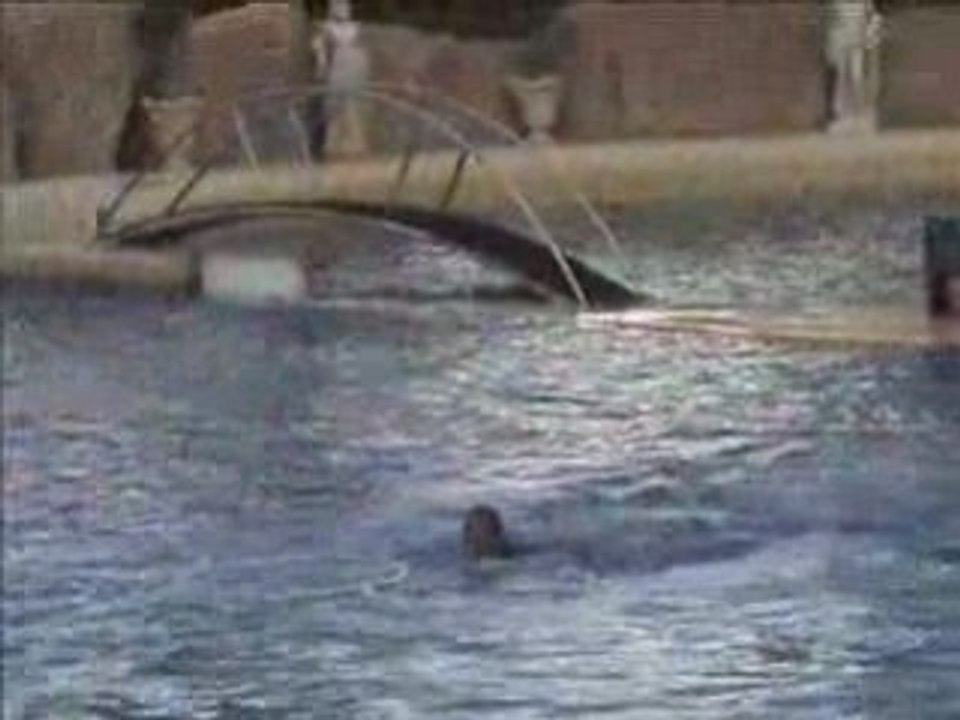 marineland 19.09.2008 resumé video antibe