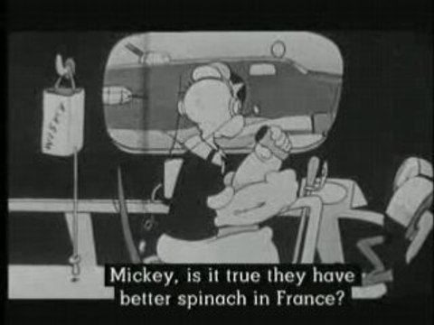 LES FRANCAIS PARLENT AUX FRANCAIS