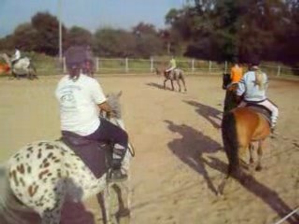 carouselle