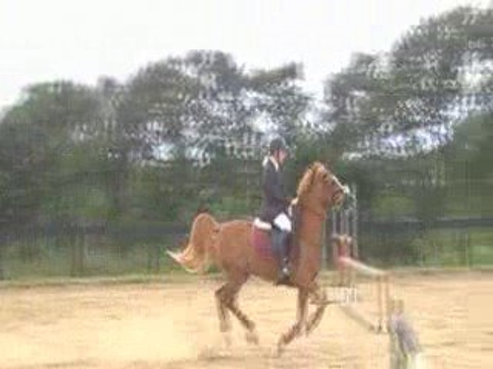 PARCOURS OBSTACLE 1M AU CANYON