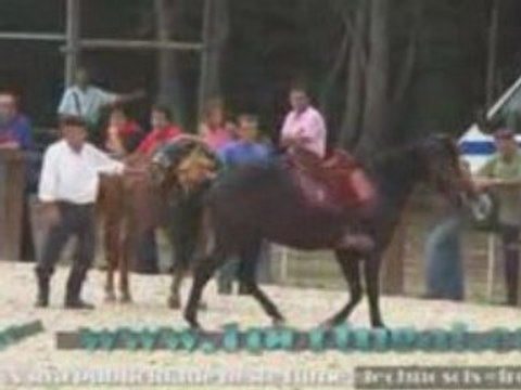 Ponte de Lima - Feiras Novas 2008 - 11