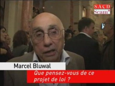 Marcel Bluwal Que pensez-vous de ce projet de loi?