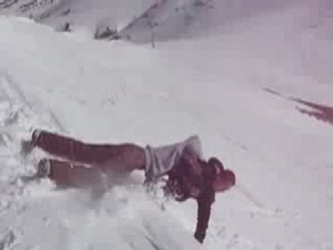 Placage Villard de lans