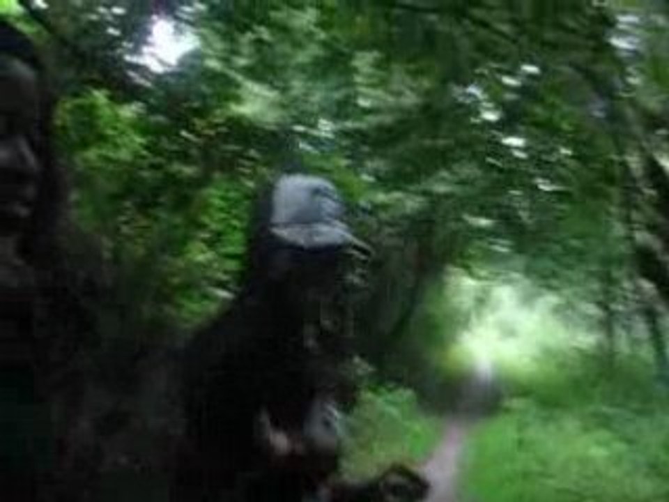 summer 2008