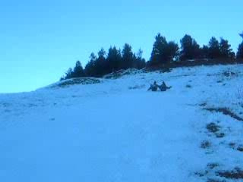 luge gamelles