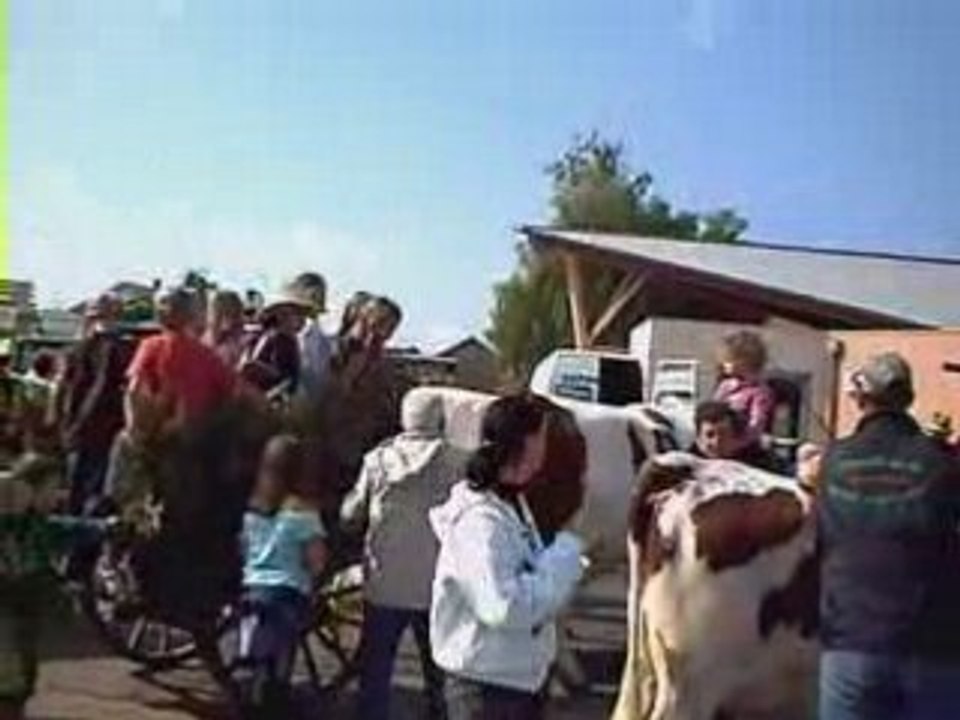 Comice Agricole d'Arinthod