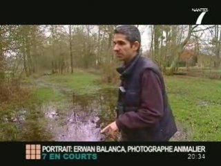 Erwan Balanca : Photographe animalier