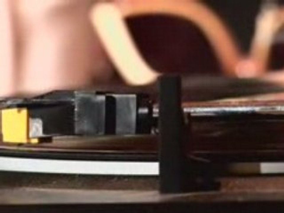 Chapter 1 of 8 - WHERE HAVE ALL THE FLOWERS GONE?