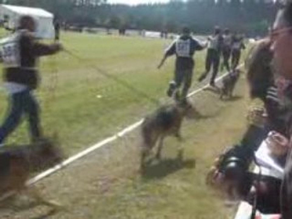 national 2008 berger allemand