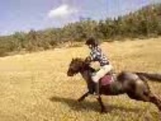 galop avec fidji