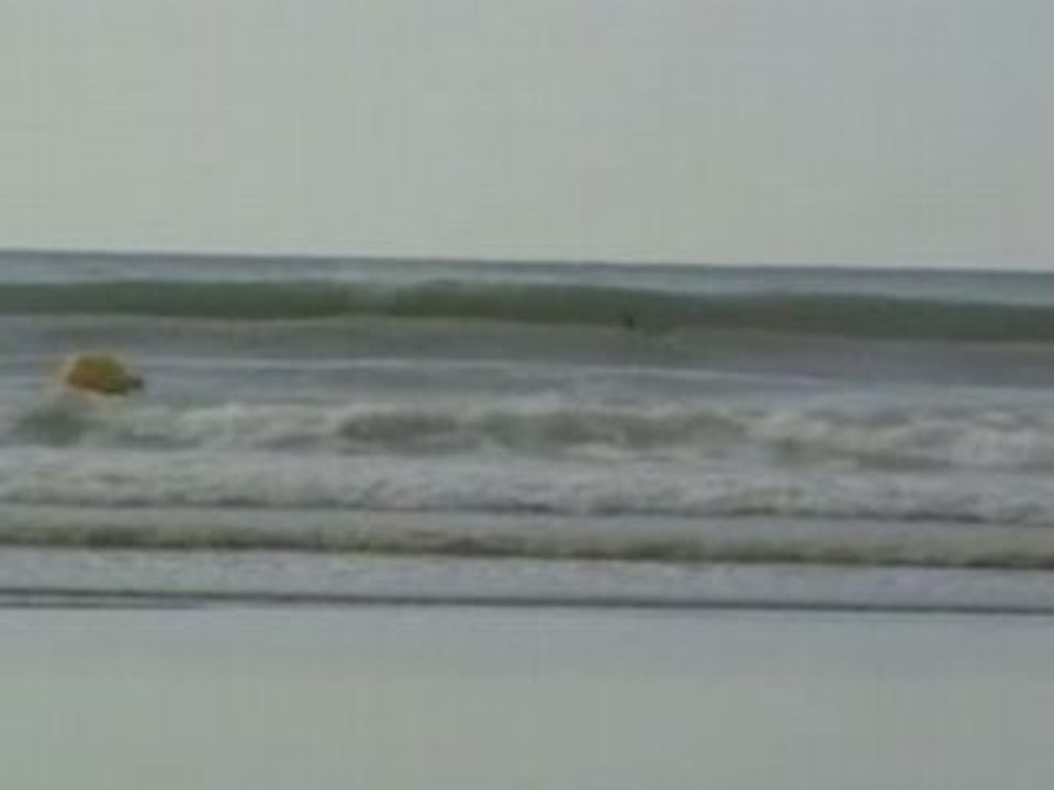 Surf Nord Ete 08
