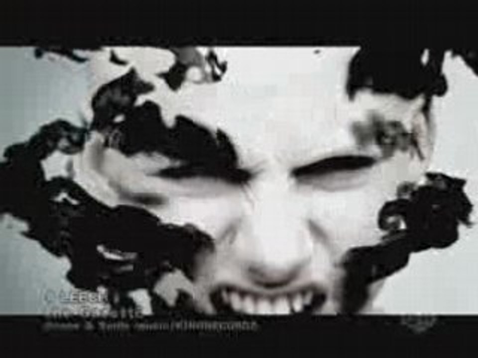 the GazettE - LEECH (TV version)