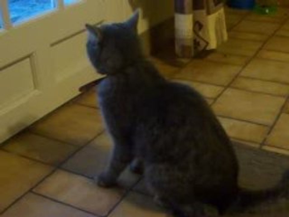 Choukette la tarée 001
