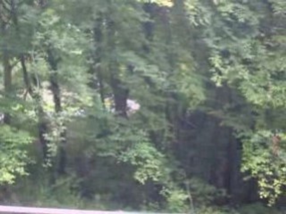 Moto Tour 2008 - Orival - Marcus