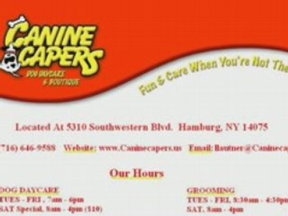 HAMBURG NY DOG GROOMING