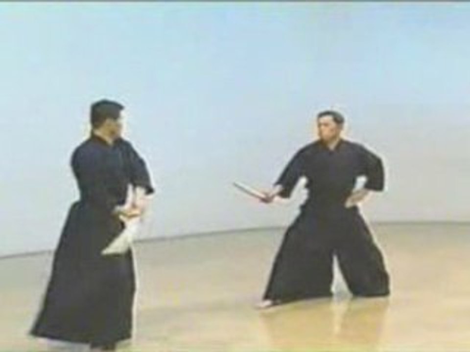 kata kendo, 9 "Kodachi Nihonme" (cours)