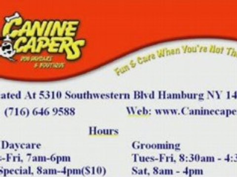 HAMBURG NY DOG GROOMING