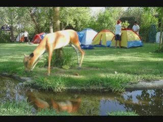 PRIMEIRO ACAMPAMENTO DAS FAMILIAS MORMONS DE SETÚBAL